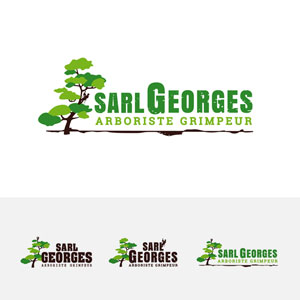 Logo Sarl Georges