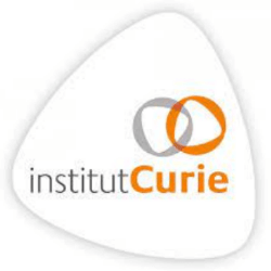 creation-site-internet-curie